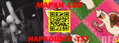мдпв Кимры