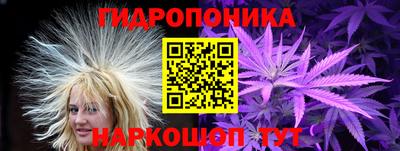 мдпв Кимры