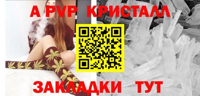 apvp Кингисепп
