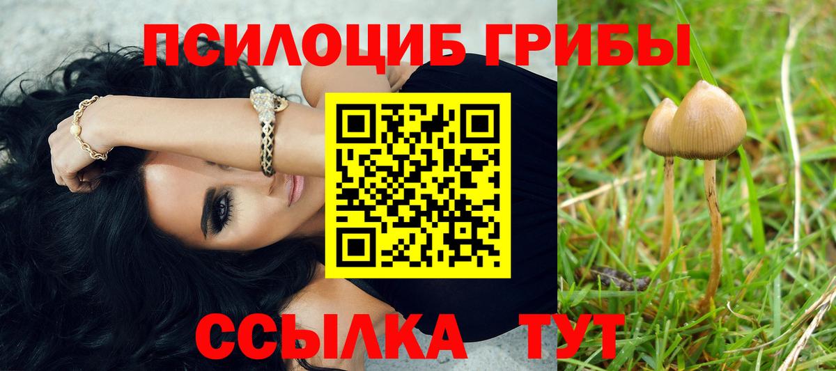 Кузнецк  Псилоцибиновые грибы прущие грибы  дарнет шоп  Вход с VPN 