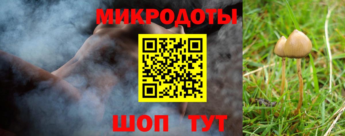 Галлюциногенные грибы Cubensis Кузнецк